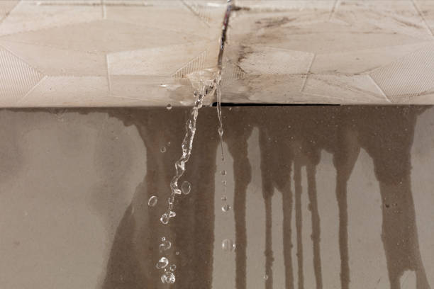 Professional Burst Pipe Cleanup technician working in Monticello, WI